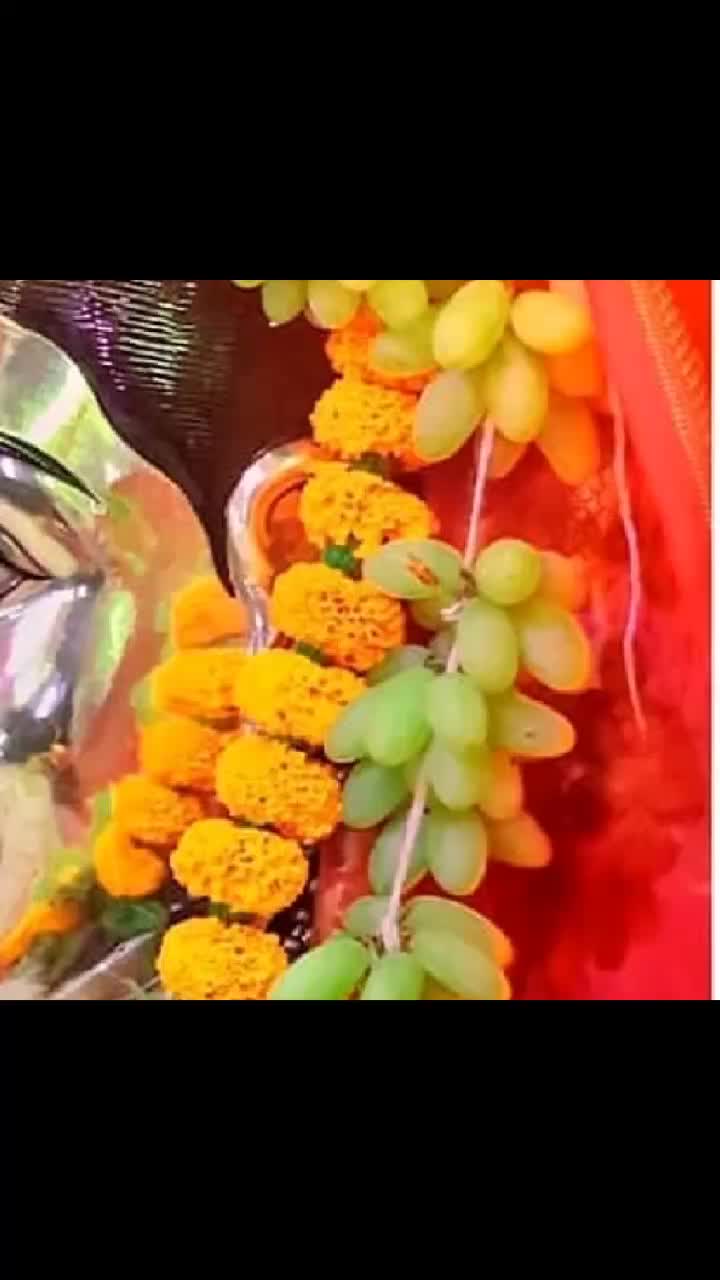 @agri koli tik tok 😎