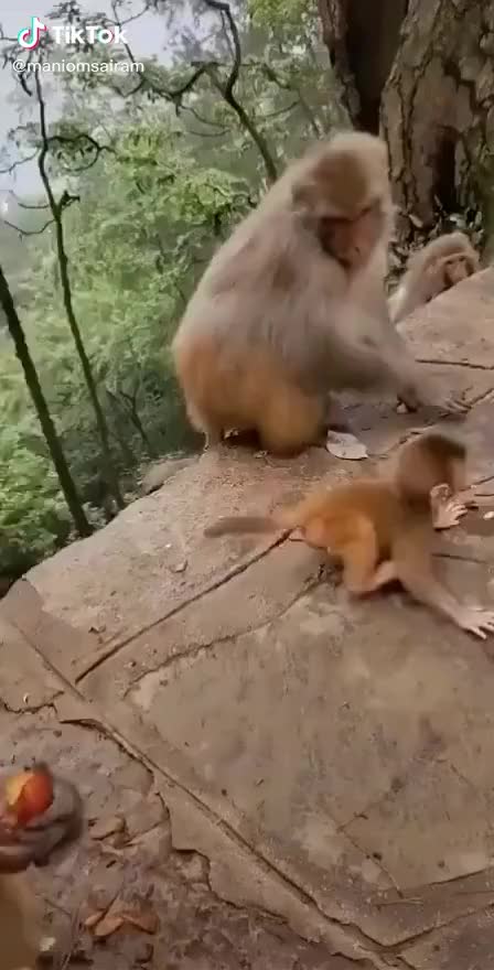 @அன்பரசு