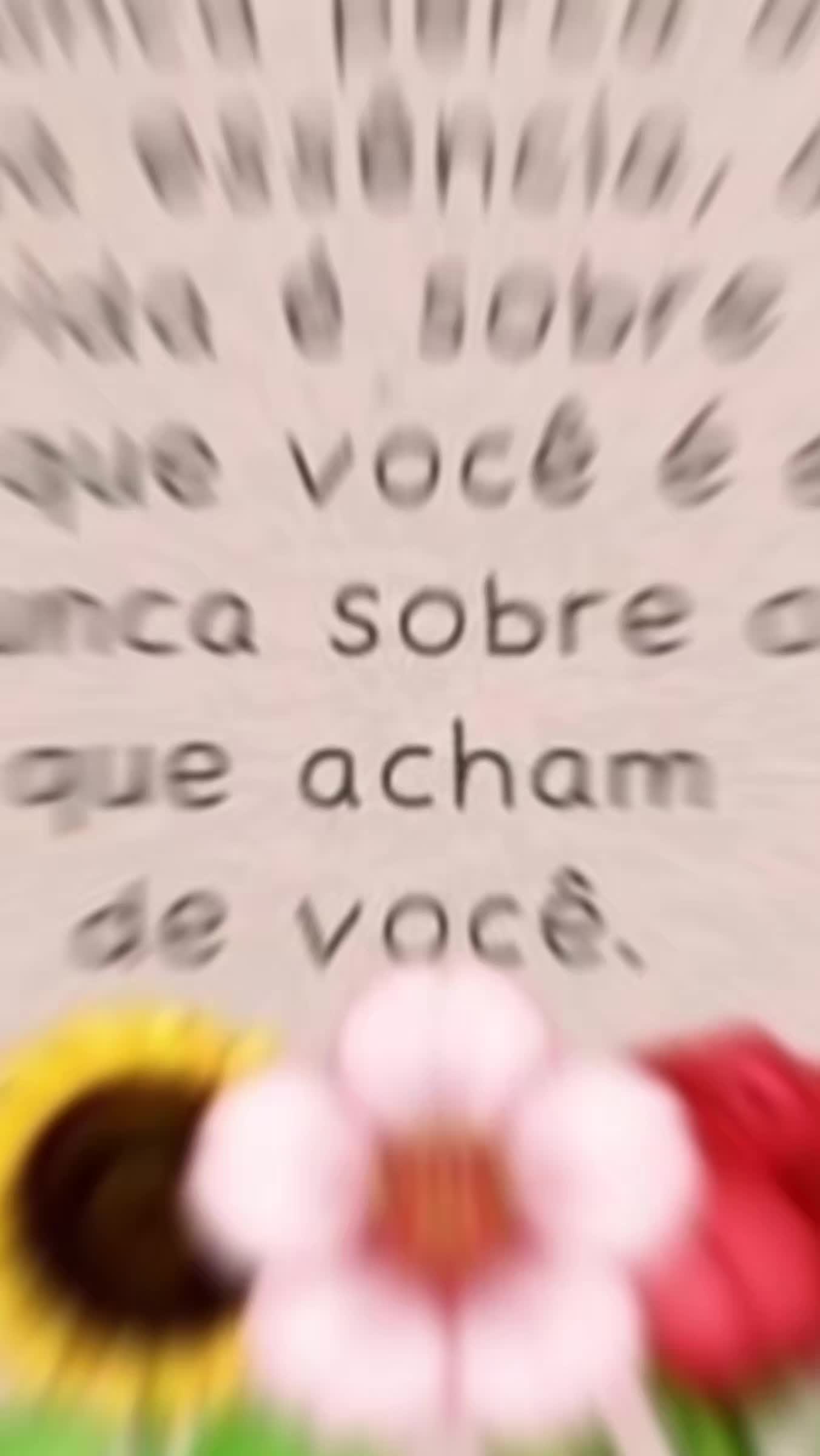 @cidarocha740