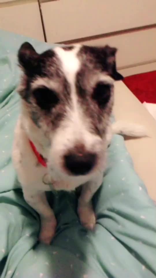 @Alfie123