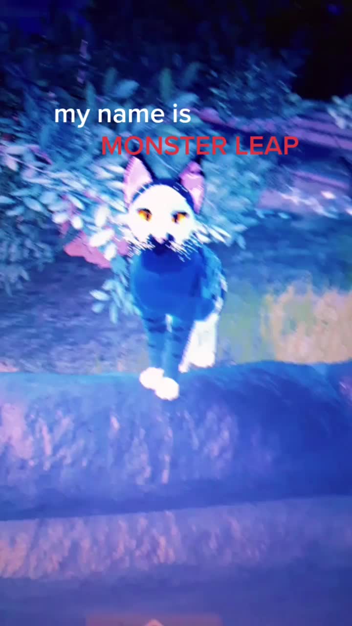 @warrior cats