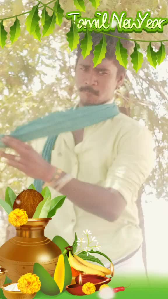 @Mr.Cute