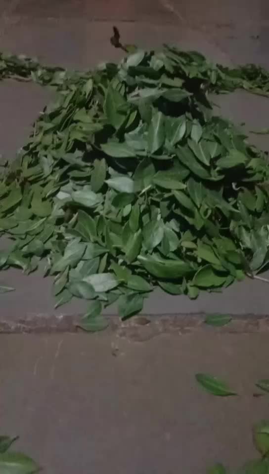 @Manu 5757