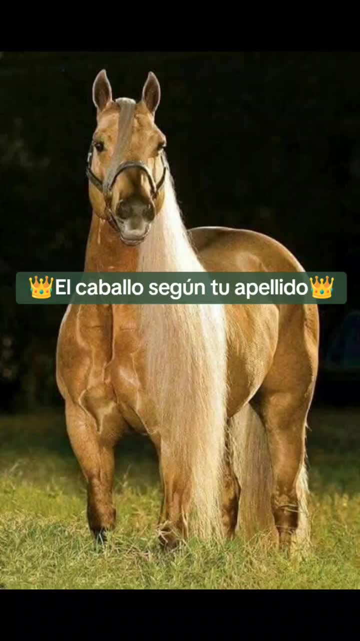 @Guillermo⚡☘️