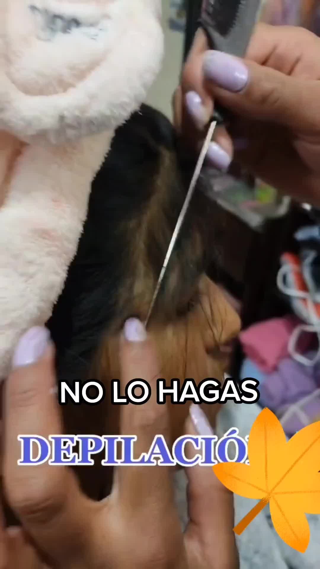 @Jolie Beltrán Molina