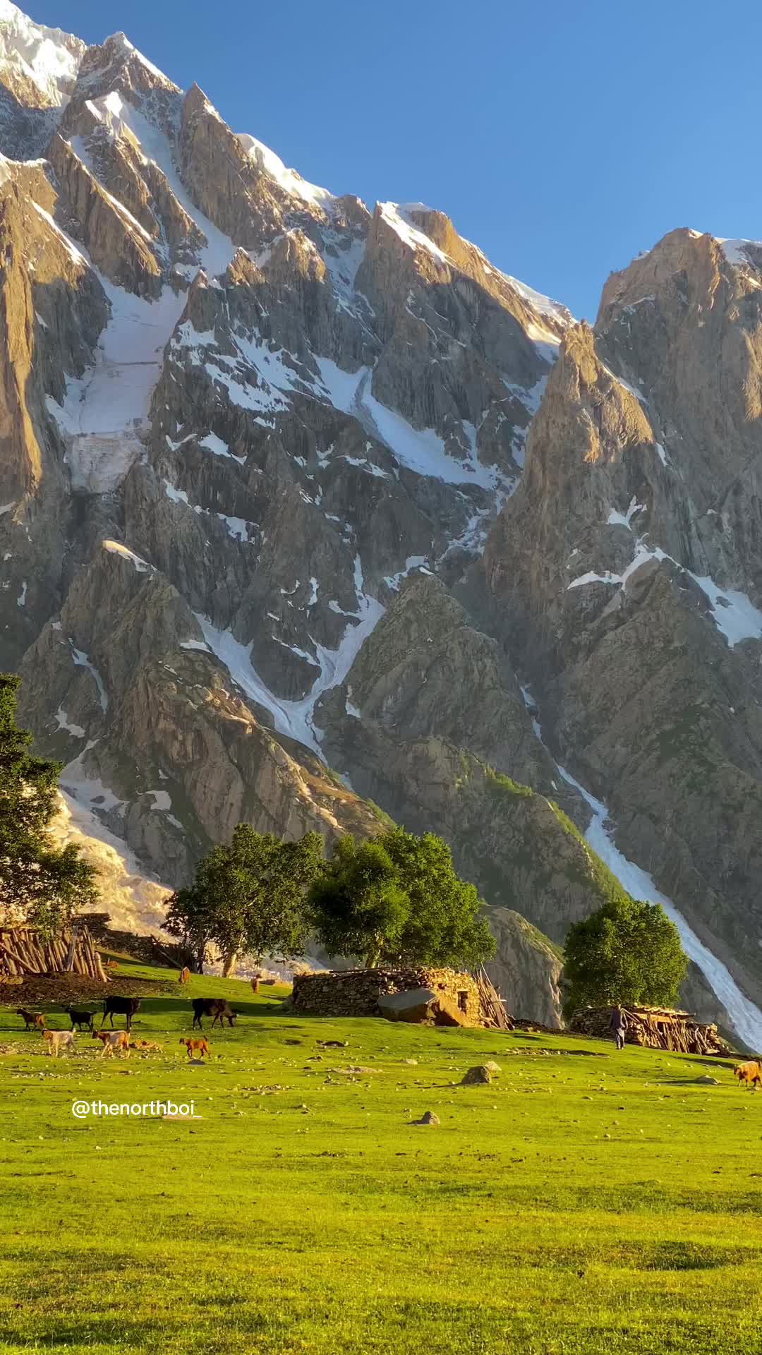 @N E ح A L