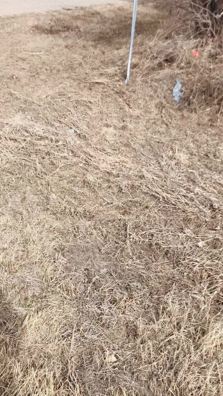 @FarmsAndWreckreation