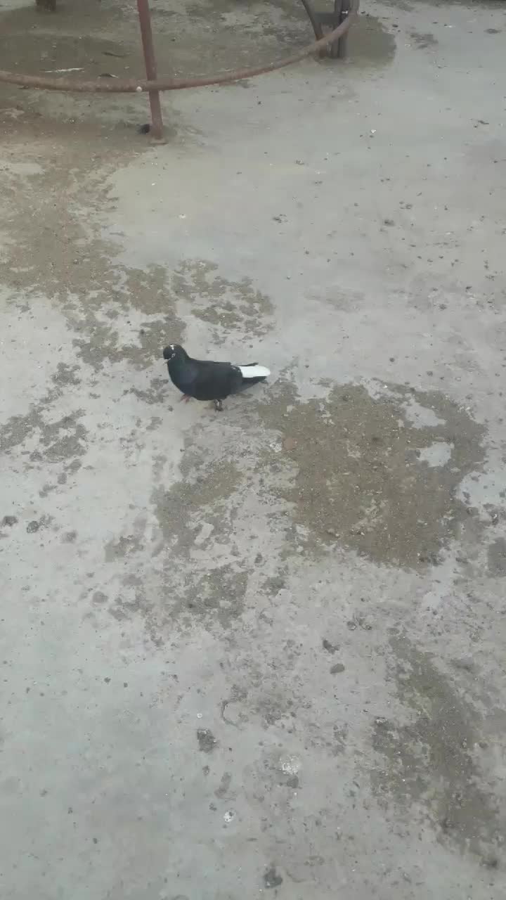 @deniz kayıkcı 73