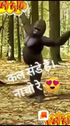 @Shahnawaz Ansari