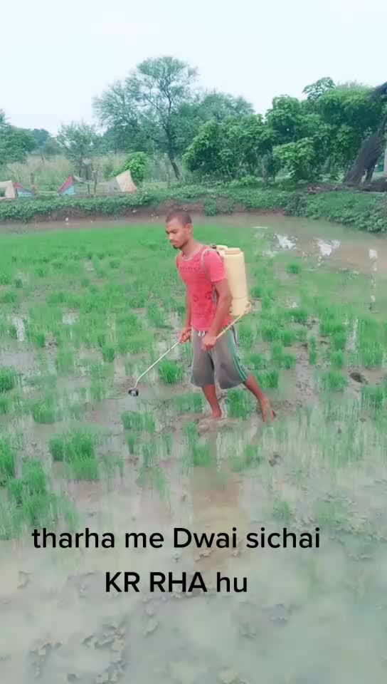 @sunil narayan