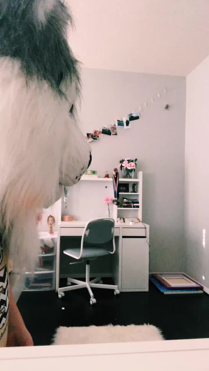 @fursuitwolf111