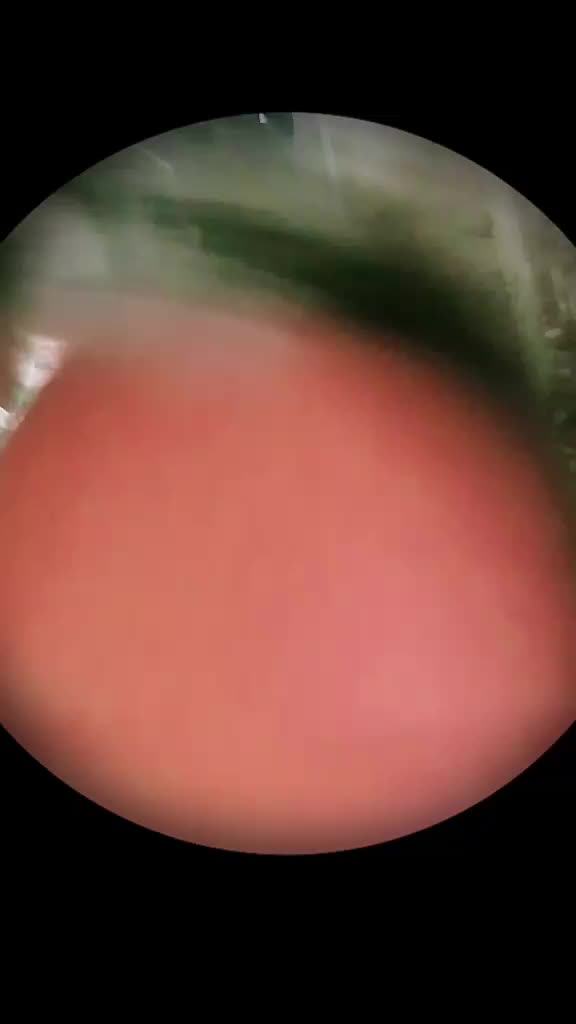 @XyroneMusic