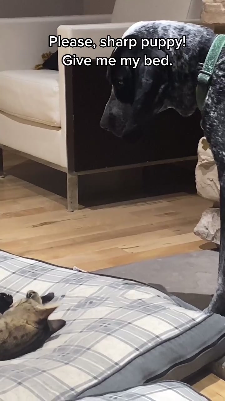 @brittanyhagantalks