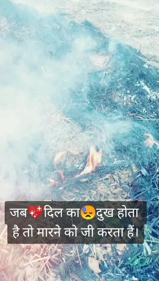 @Saurabh Shakya