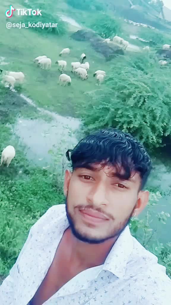 @seja_k_kodiyatar