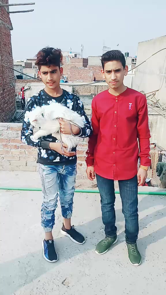 @Salman Ali