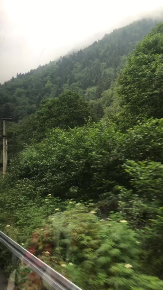 @Gülşen Tekeli
