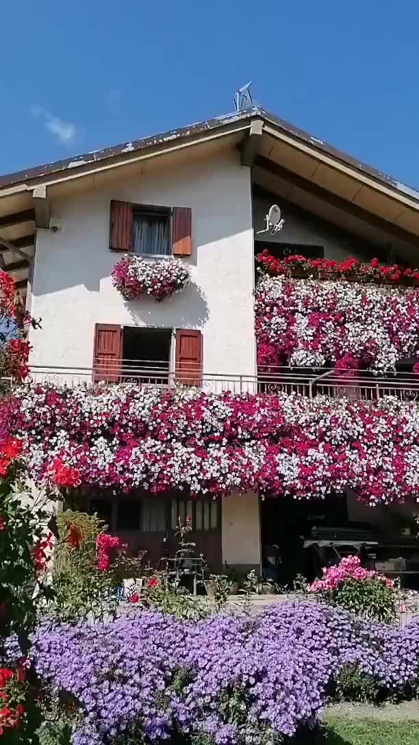 @Elena Vulpe Pilipenc