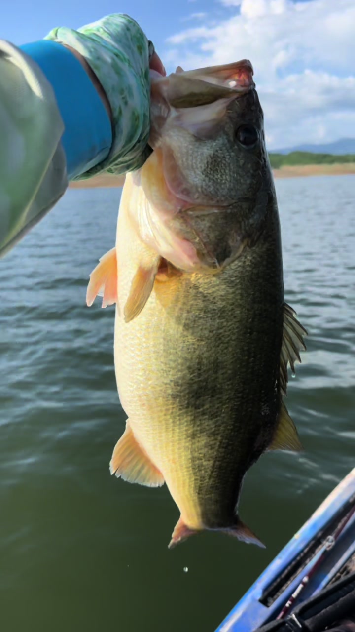 @PESCANDO AVENTURAS CON RAFA