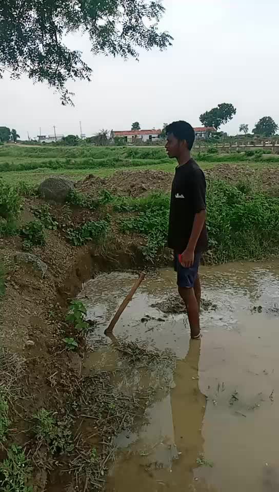 @user5545186269290