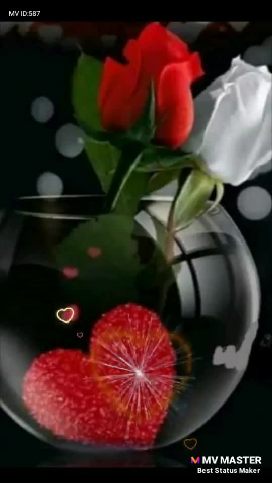 @๐46 fahad king 46๐ฅ