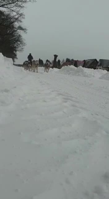 @Husky Ranche Surwold