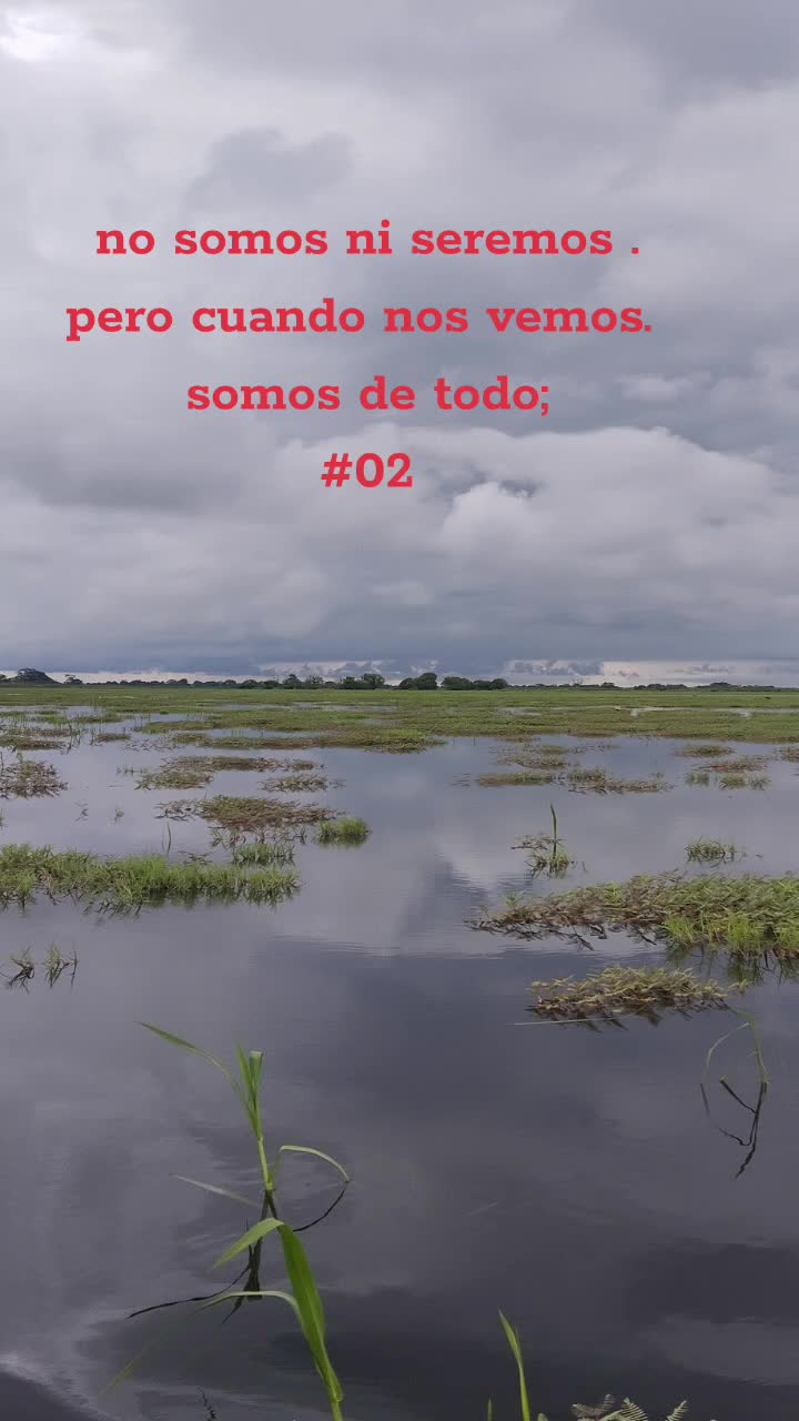 @luisdanielblanqui