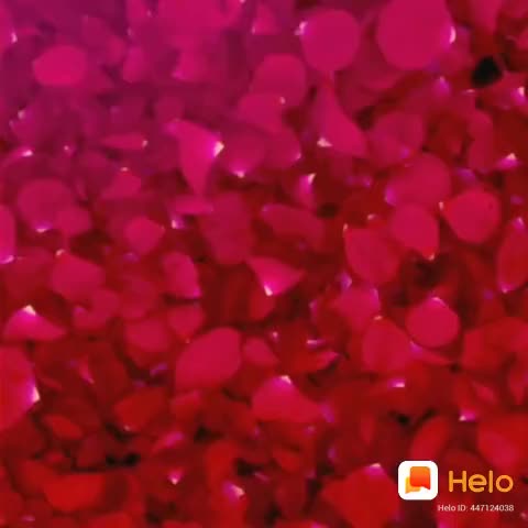 @@gunjansubhashgautam
