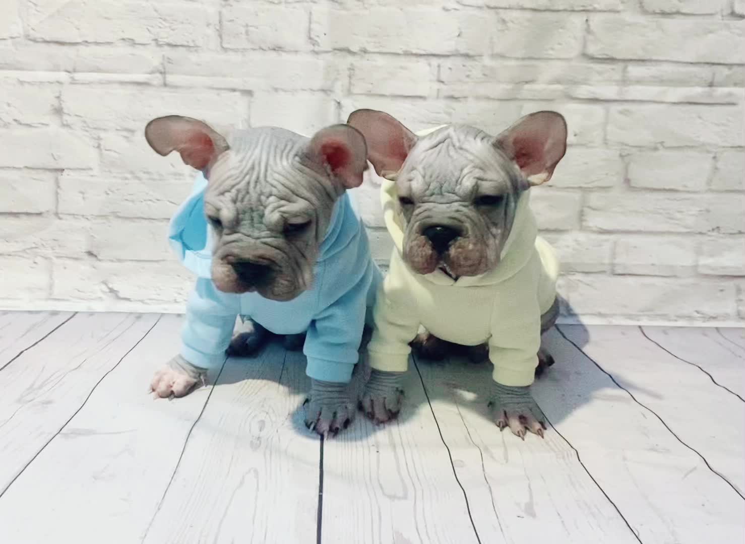 @Softskinpuppies