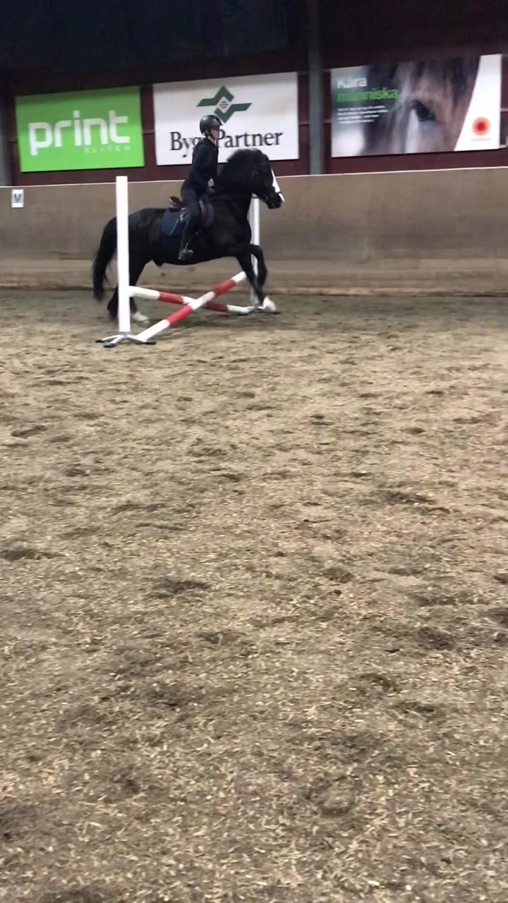 @3 ryttare✨