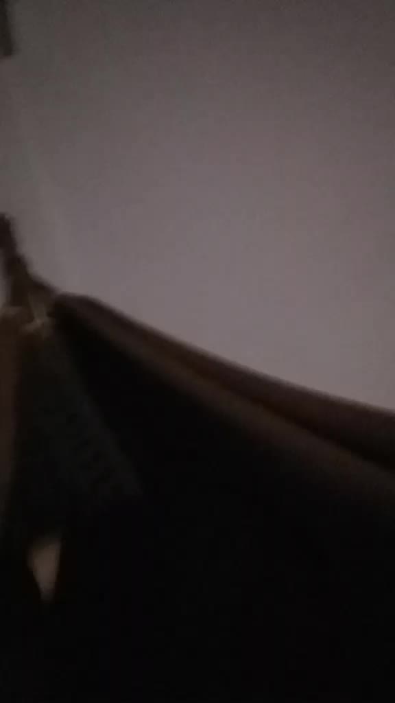 @amiguiNHO