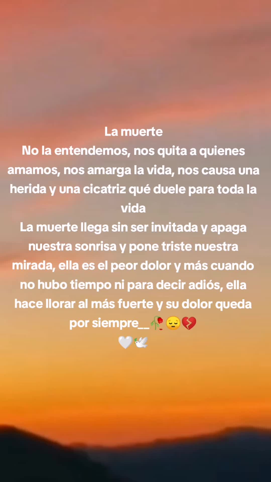 @zaytt_
