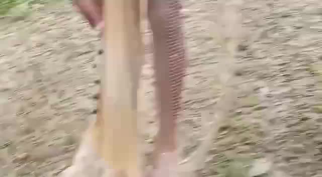 @riya💥💜