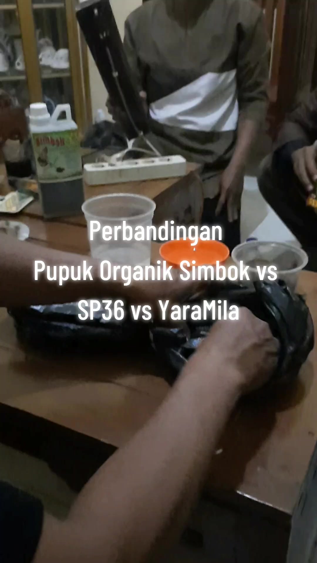 @BOS SAWIT