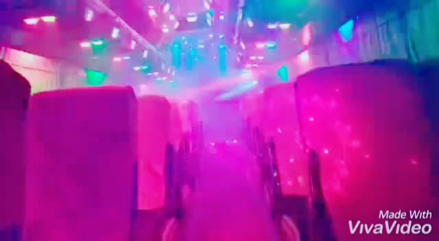@peepees_holidays