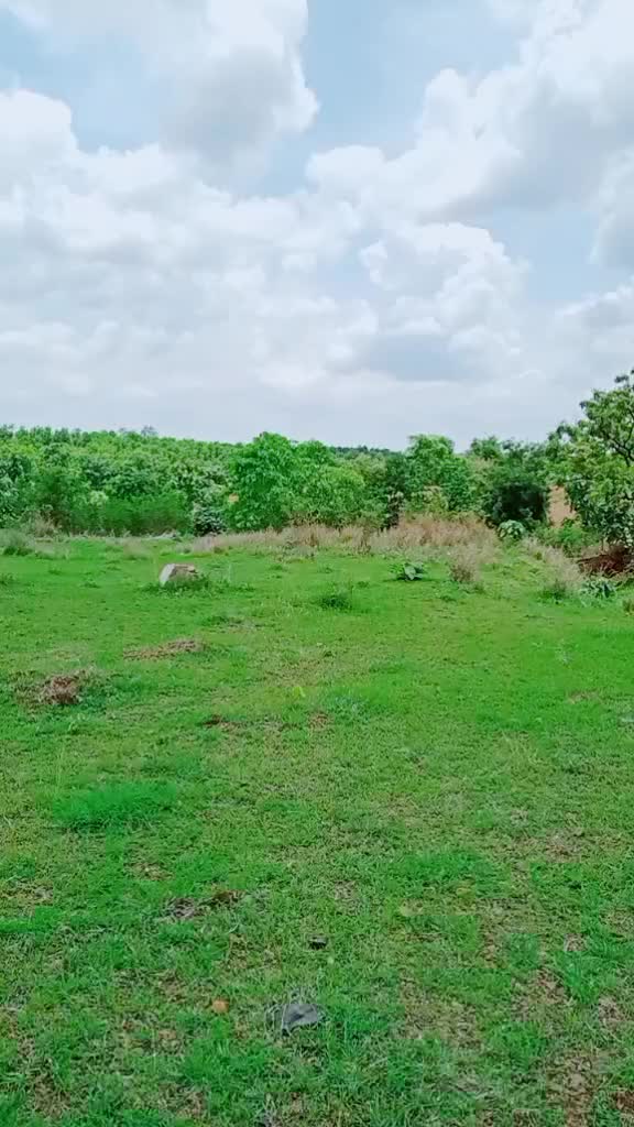 @Mr.Pritesh Ghuge
