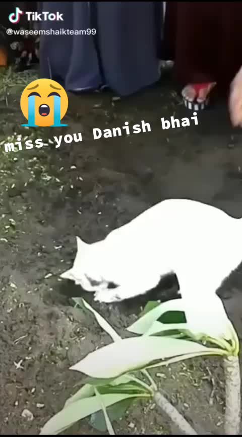 @Shaiknaseerbhai
