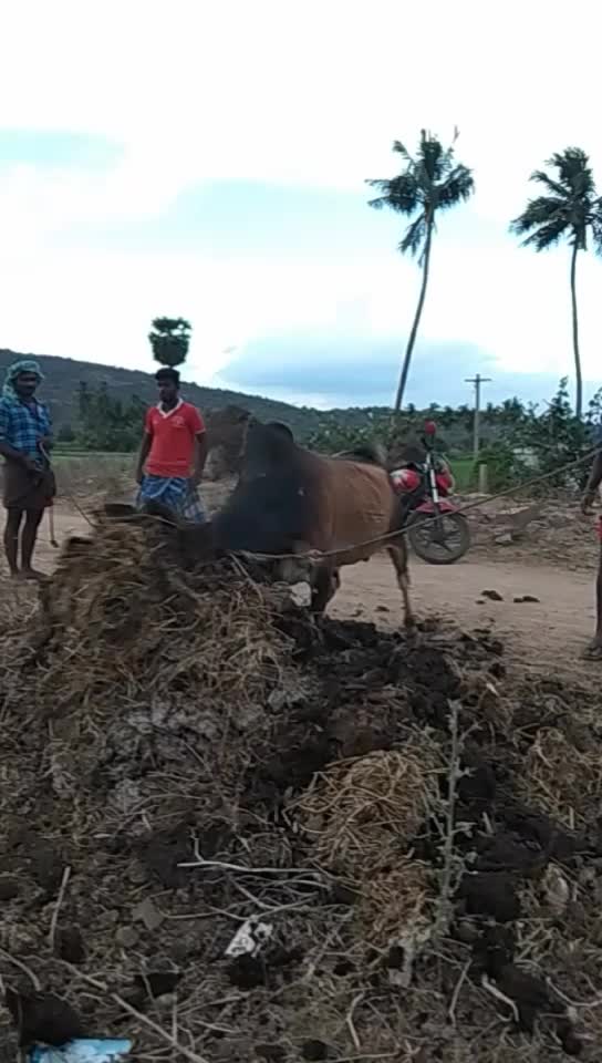 @ரஞ்சித்அய்யனார்குளம்
