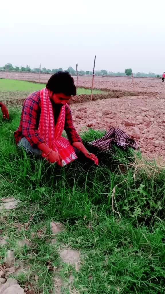 @shahil singh.045204