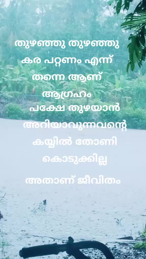 @sheji podimol
