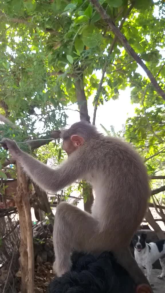 @Jaya Murugan