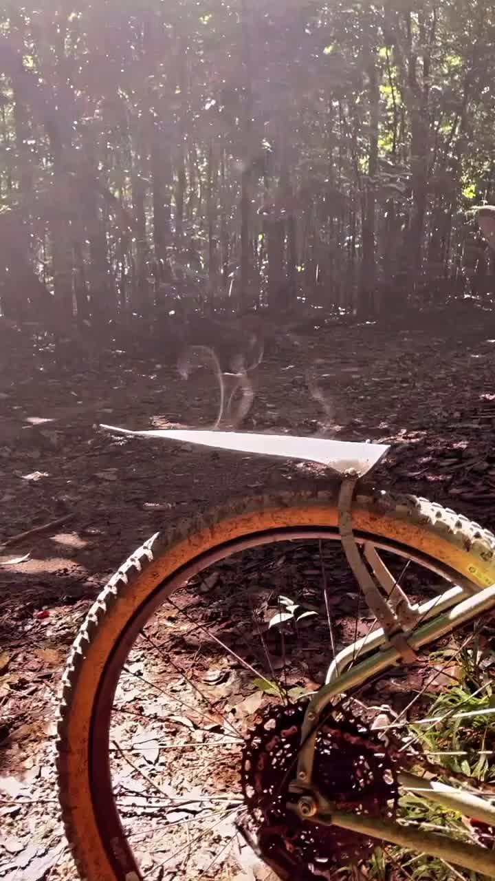 @Dave Bikes