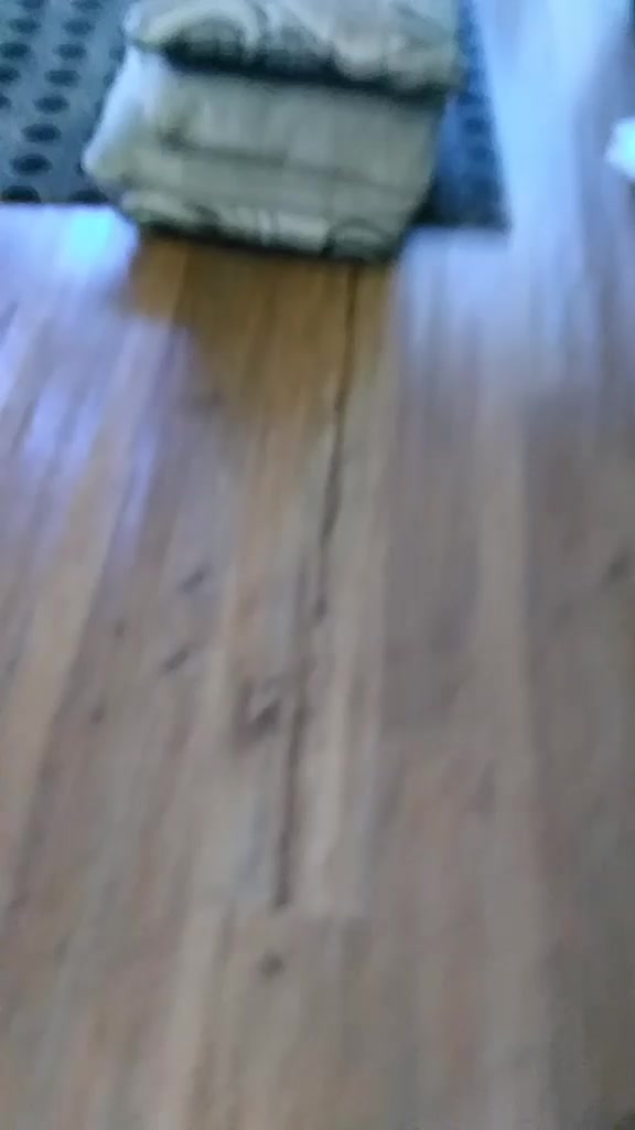 @alina Hernandez