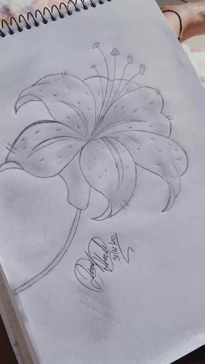 @Jenifer Herilly