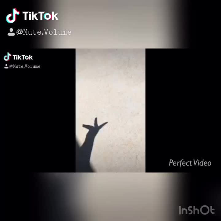 @Talent_gang