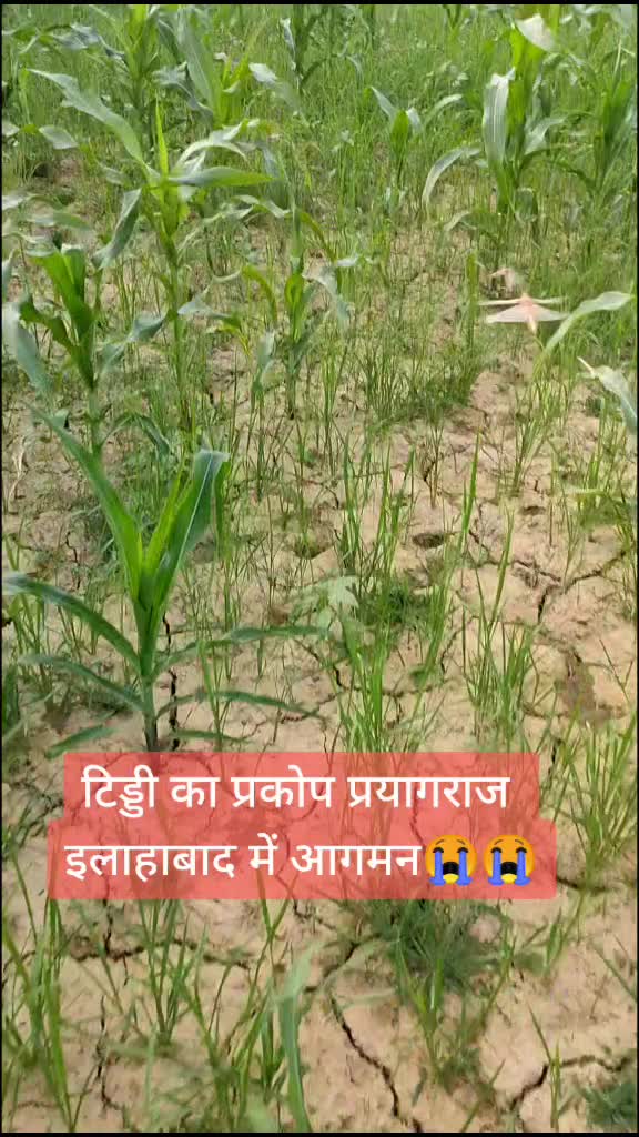 @Rajesh Kr