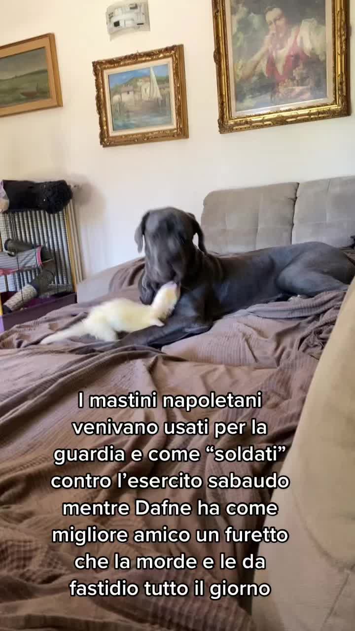 @Lucrezia Bernazzani