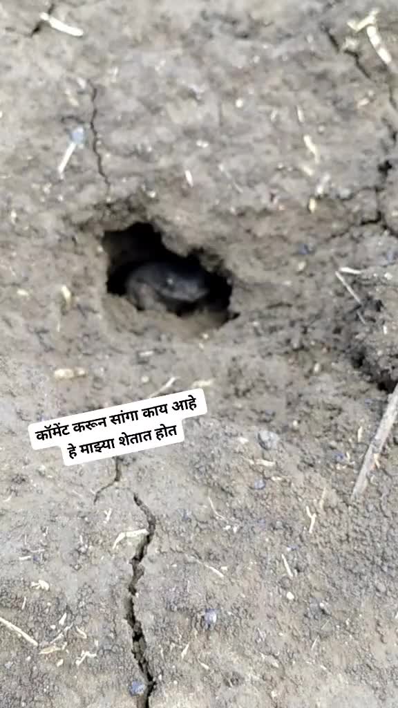@AnKiT😊