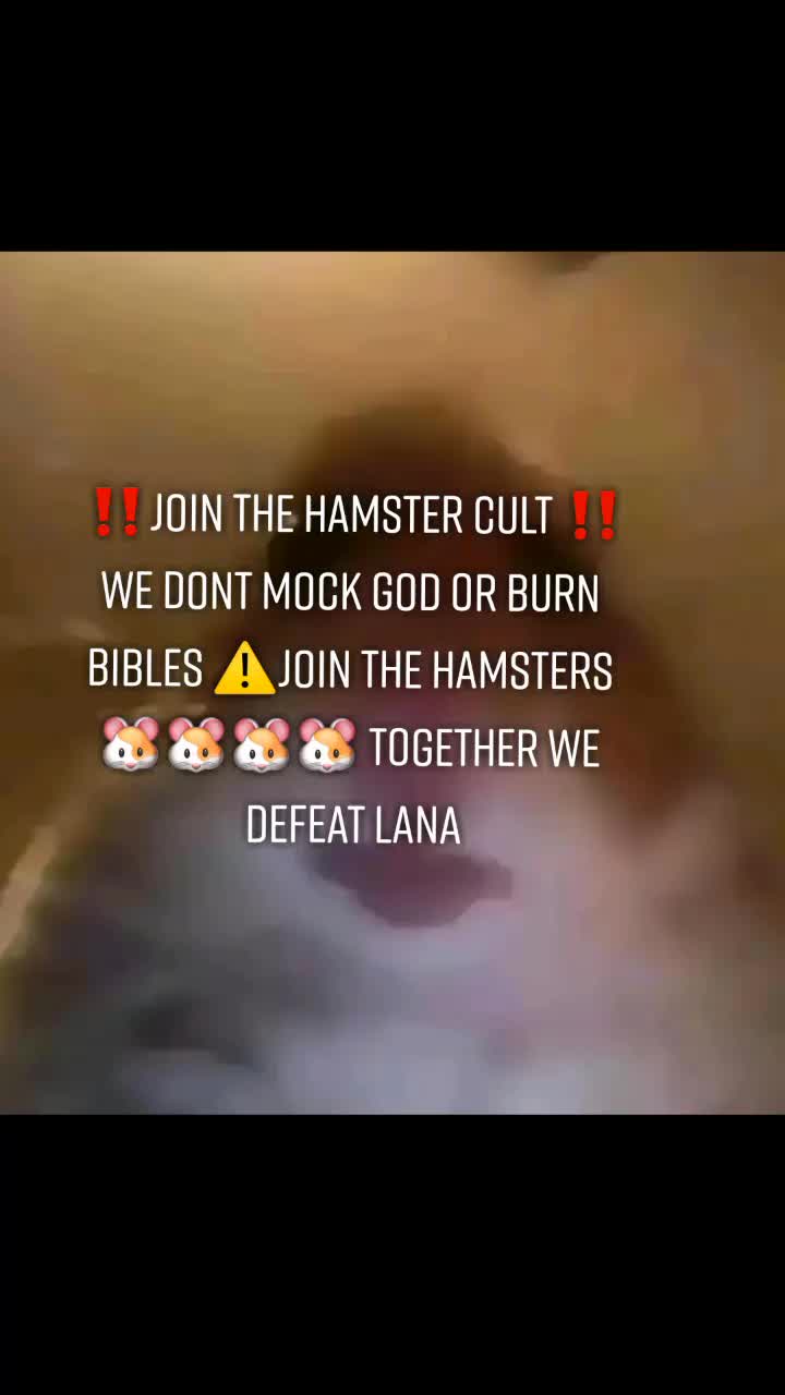 @hamster cult 🥵💕✨