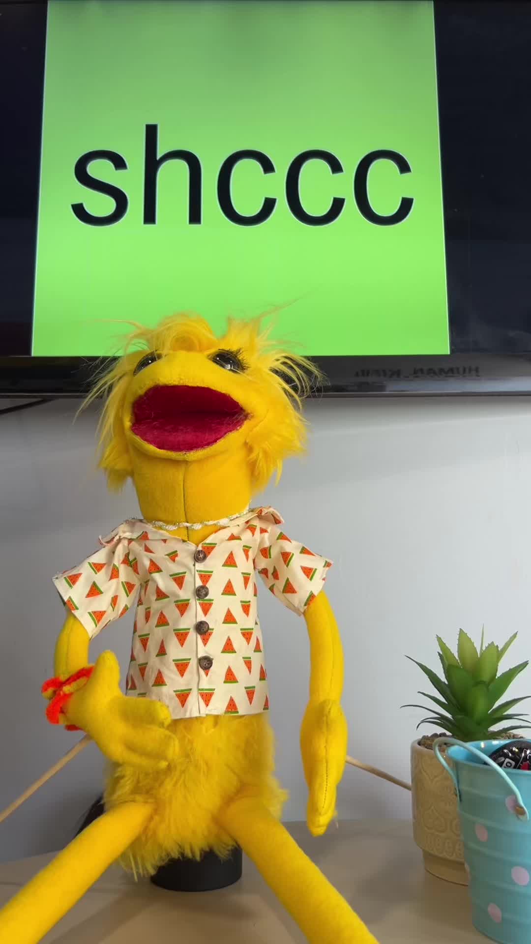 @shccc